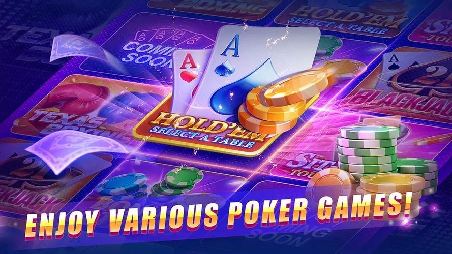 81bet net